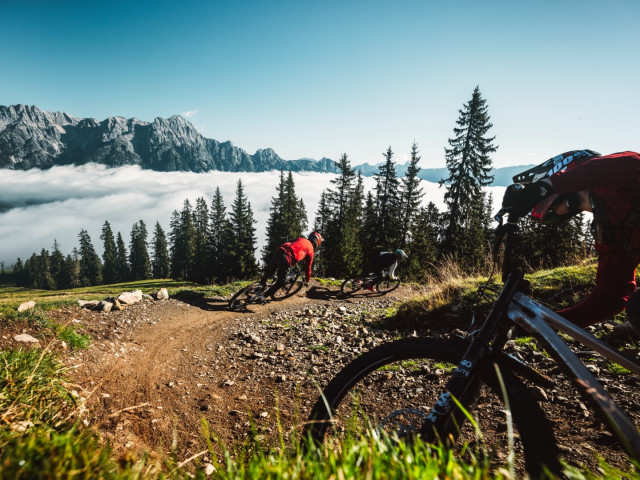 Bikepark Leogang