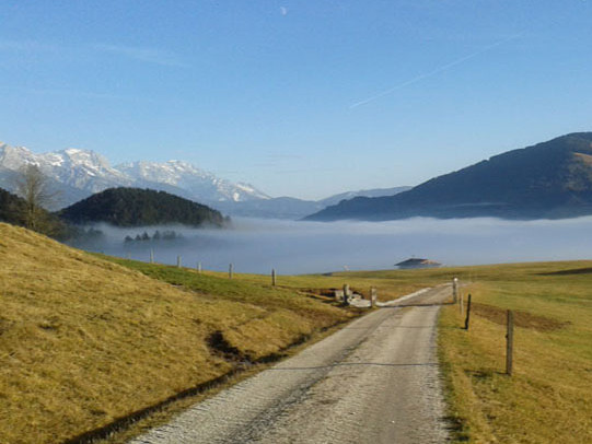 Bild teaser-header-landschaft-mobil.800x600.jpg