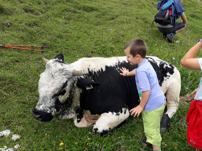 Bild 20180721_111129.800x600.jpg