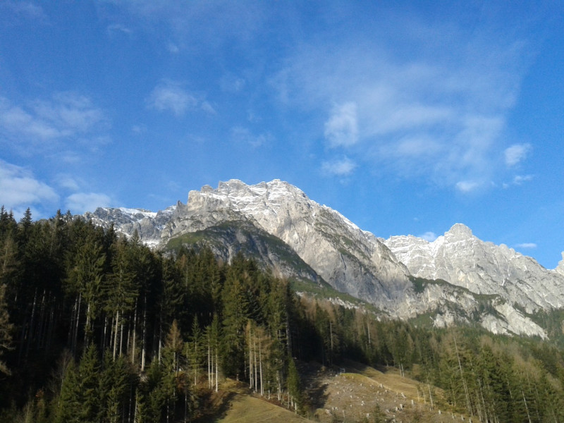 Bild 20151219_140632.800x600.jpg