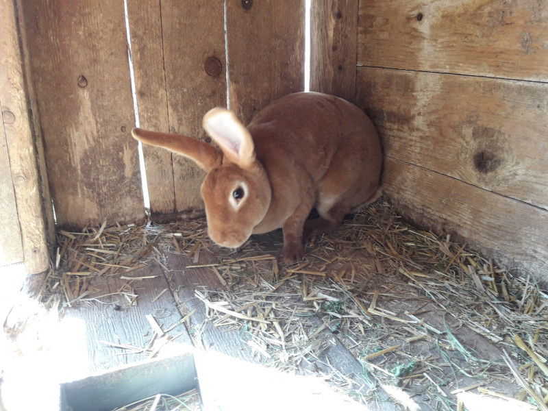 Bild 20170802_101102.800x600.jpg