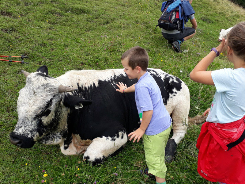 Bild 20180721_111129.800x600.jpg