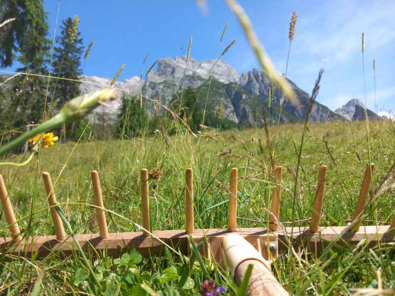 Bild 20230708_111626.800x600.jpg