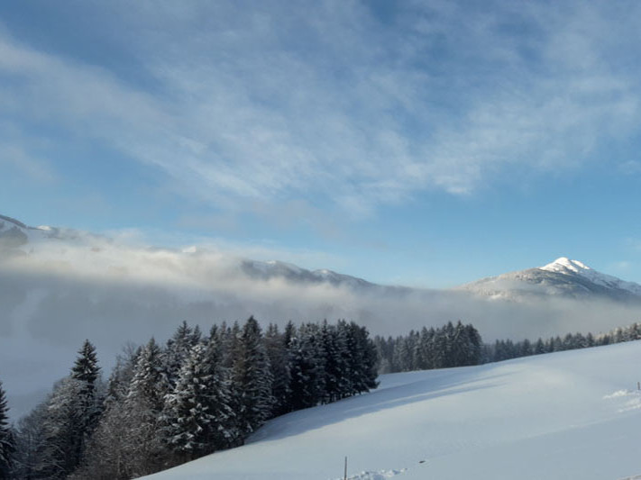 Bild bauernhofurlaub-leogang-0004.800x600.jpg