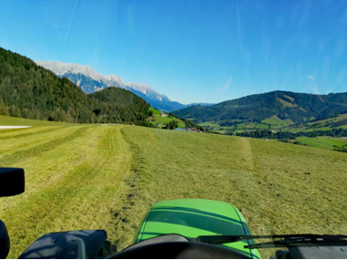 Bild heuernte.800x600.png