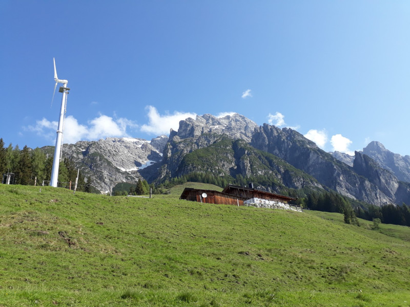 Bild riedlalm.800x600.jpg