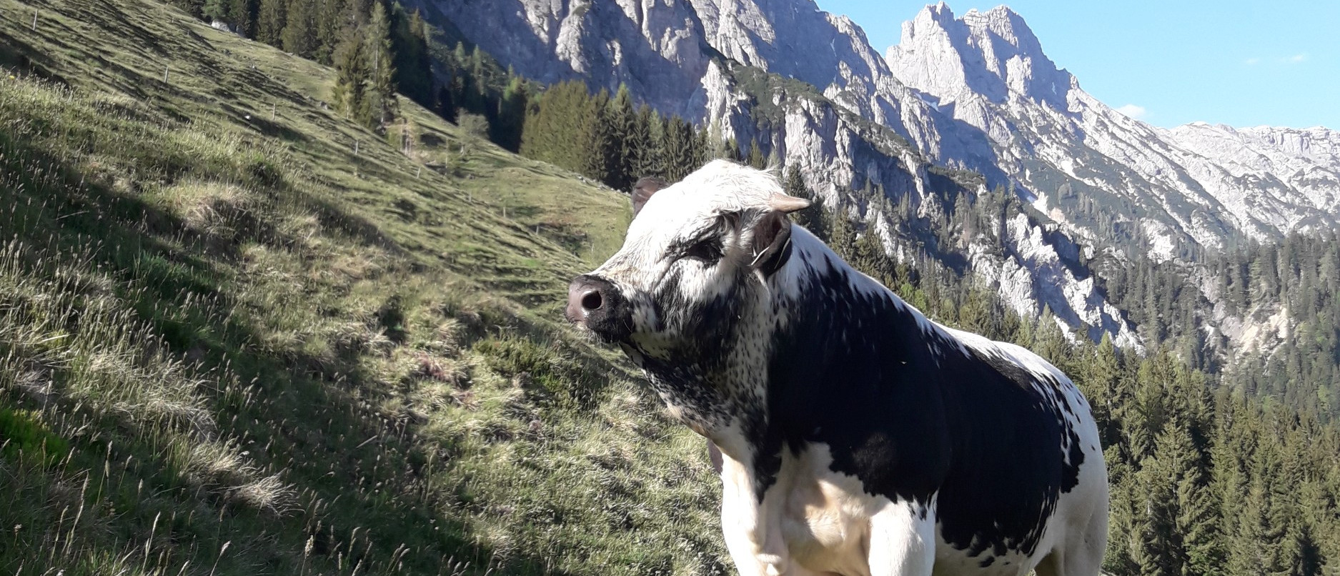 Online & Direktvermarktung